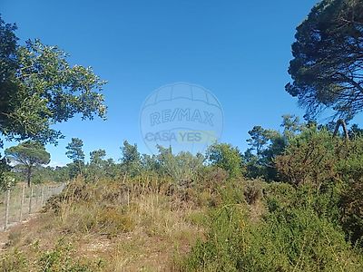 listing-picture-0