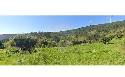 listing-picture-0