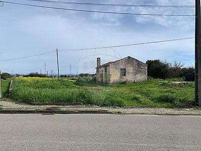 listing-picture-0