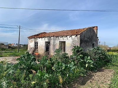 listing-picture-0
