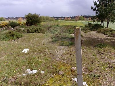 listing-picture-0