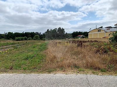 listing-picture-0