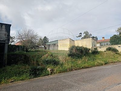 listing-picture-0