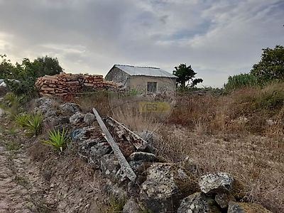 listing-picture-0