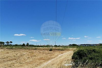listing-picture-0