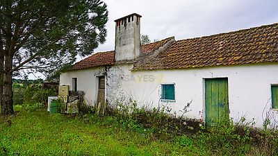 listing-picture-0