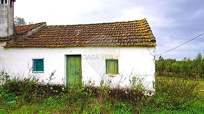 listing-picture-0