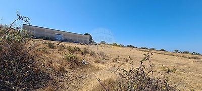 listing-picture-0
