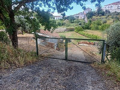 listing-picture-0