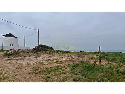 listing-picture-0