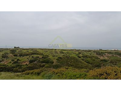 listing-picture-0