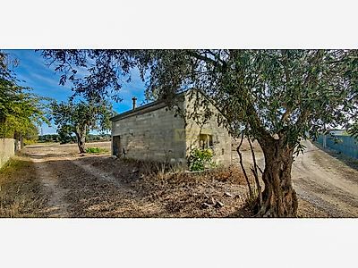 listing-picture-0