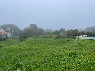 listing-picture-0