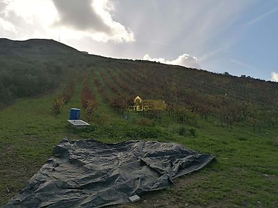 listing-picture-0