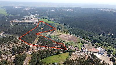 listing-picture-0