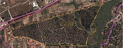 listing-picture-0