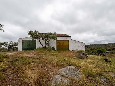 listing-picture-0