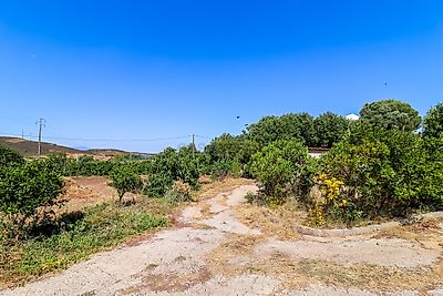 listing-picture-0