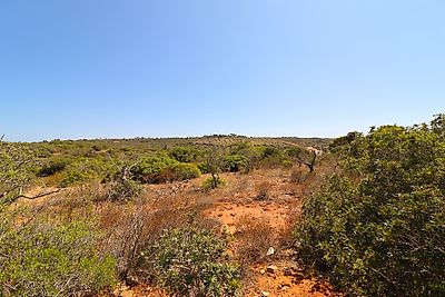 listing-picture-0