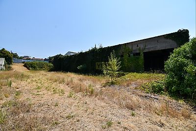 listing-picture-0