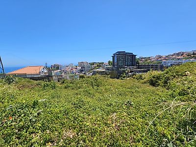 listing-picture-0