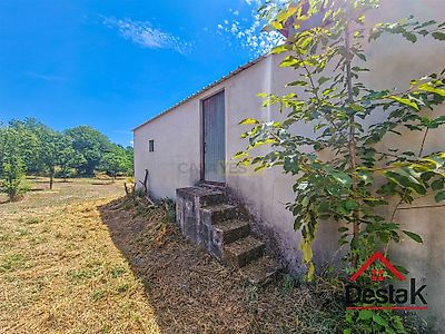 listing-picture-0