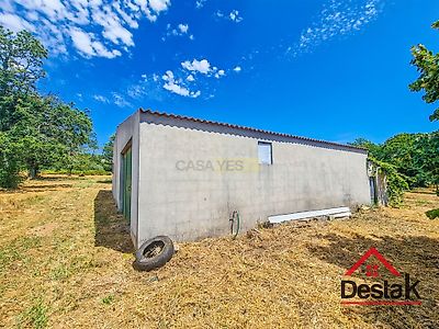 listing-picture-0
