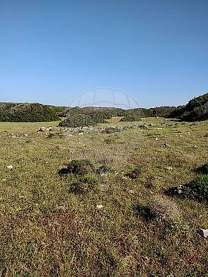 listing-picture-0
