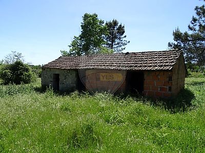listing-picture-0