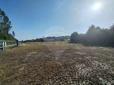listing-picture-0