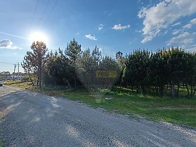 listing-picture-0