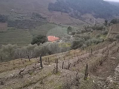 listing-picture-0