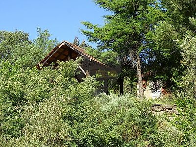 listing-picture-0