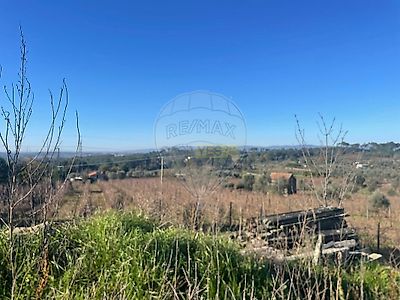 listing-picture-0