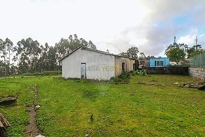 listing-picture-0