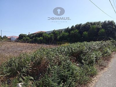 listing-picture-0