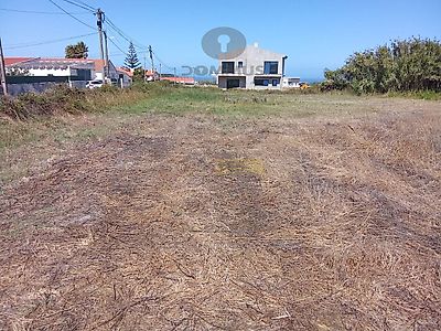 listing-picture-0