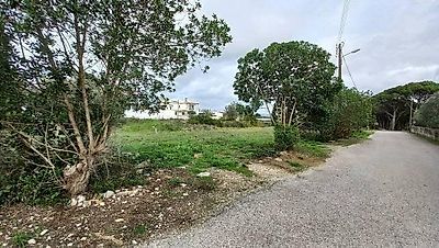 listing-picture-0