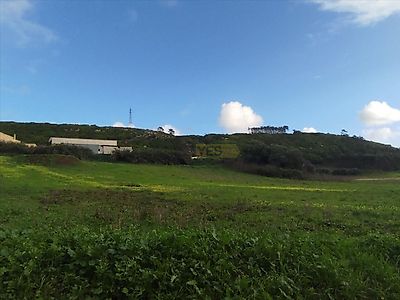 listing-picture-0