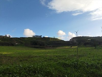 listing-picture-0