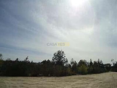 listing-picture-0
