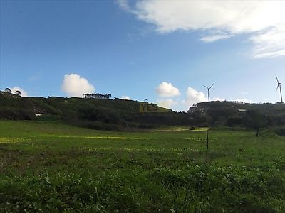 listing-picture-0