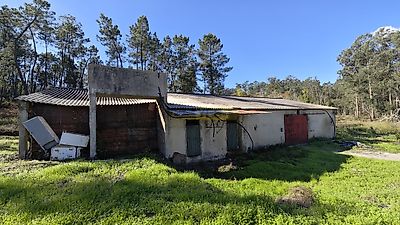 listing-picture-0