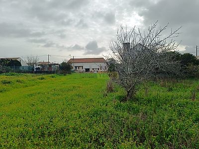 listing-picture-0
