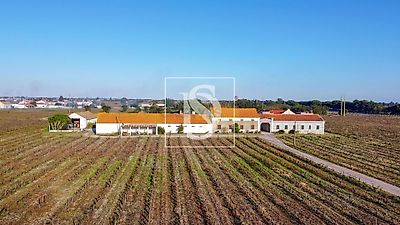 listing-picture-0