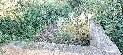 listing-picture-0