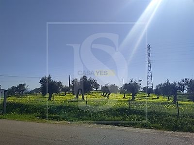 listing-picture-0