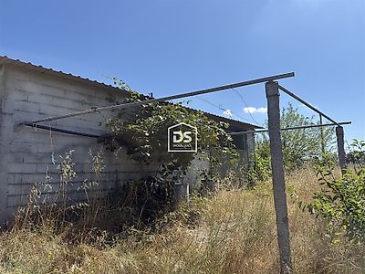 listing-picture-0