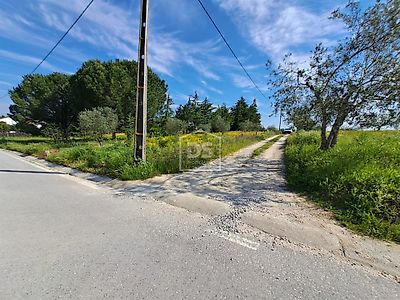 listing-picture-0