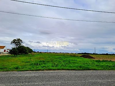 listing-picture-0